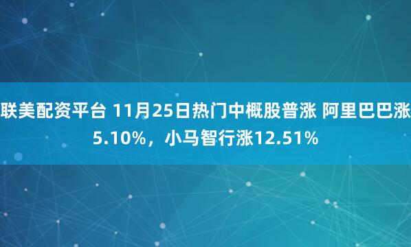联美配资平台 11月25日热门中概股普涨 阿里巴巴涨5.10%，小马智行涨12.51%