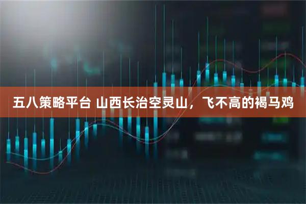 五八策略平台 山西长治空灵山，飞不高的褐马鸡