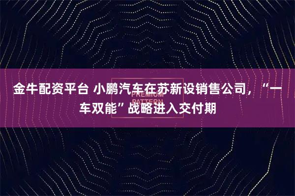 金牛配资平台 小鹏汽车在苏新设销售公司，“一车双能”战略进入交付期