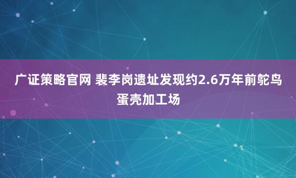 广证策略官网 裴李岗遗址发现约2.6万年前鸵鸟蛋壳加工场
