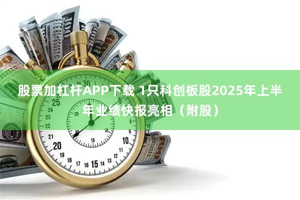 股票加杠杆APP下载 1只科创板股2025年上半年业绩快报亮相（附股）