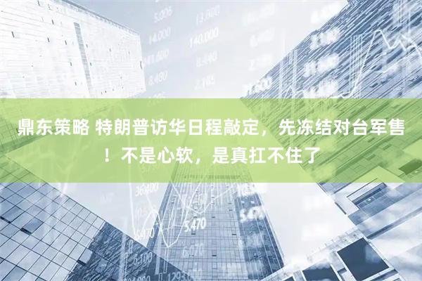鼎东策略 特朗普访华日程敲定，先冻结对台军售！不是心软，是真扛不住了